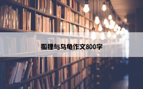 狐狸与乌龟作文800字