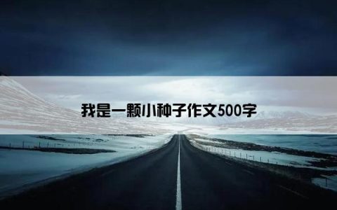 我是一颗小种子作文500字