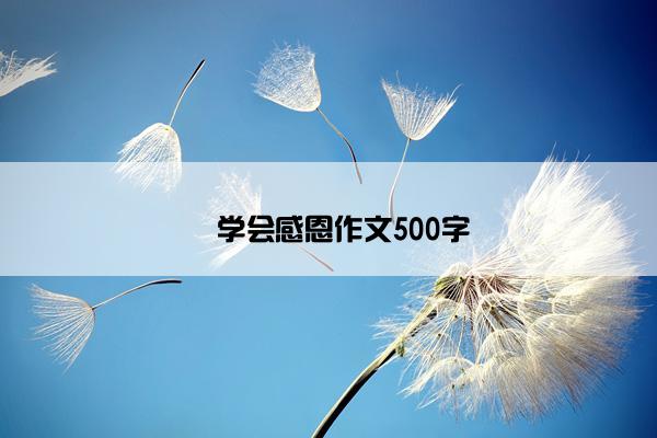 ​学会感恩作文500字