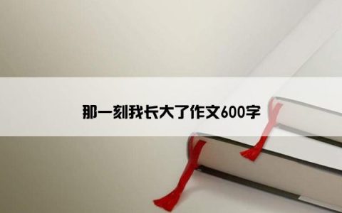 那一刻我长大了作文600字