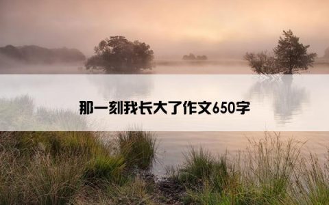 那一刻我长大了作文650字