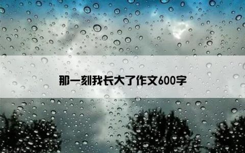 那一刻我长大了作文600字