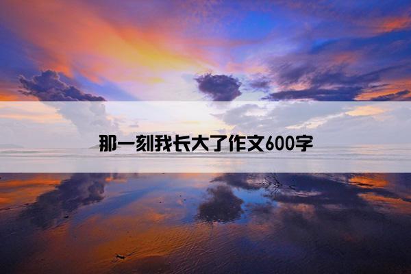 那一刻我长大了作文600字