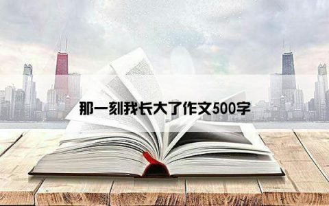 那一刻我长大了作文500字