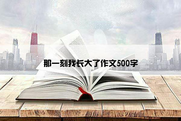 那一刻我长大了作文500字