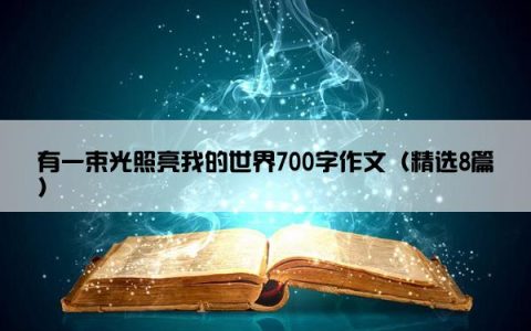 有一束光照亮我的世界700字作文（精选8篇）