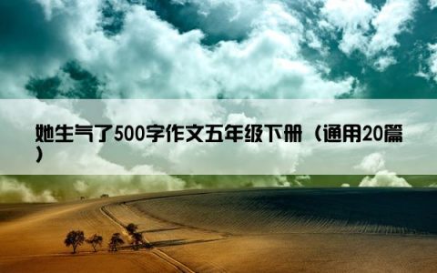 她生气了500字作文五年级下册（通用20篇）