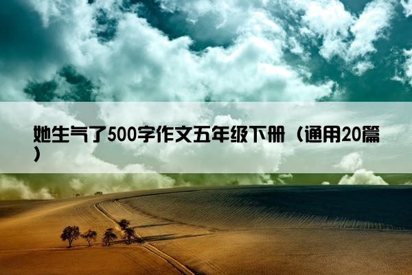 她生气了500字作文五年级下册（通用20篇）