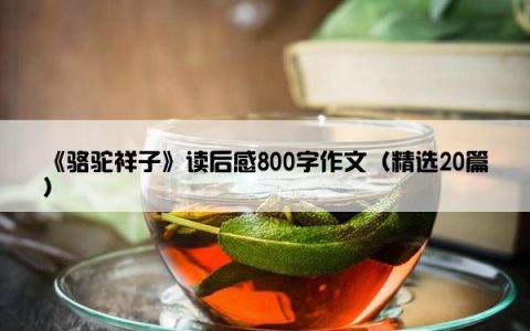 《骆驼祥子》读后感800字作文（精选20篇）