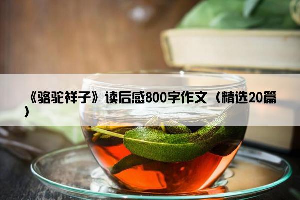 《骆驼祥子》读后感800字作文（精选20篇）