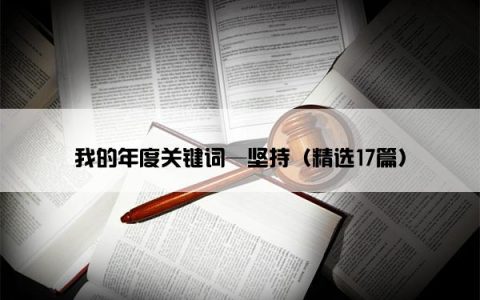 我的年度关键词—坚持（精选17篇）