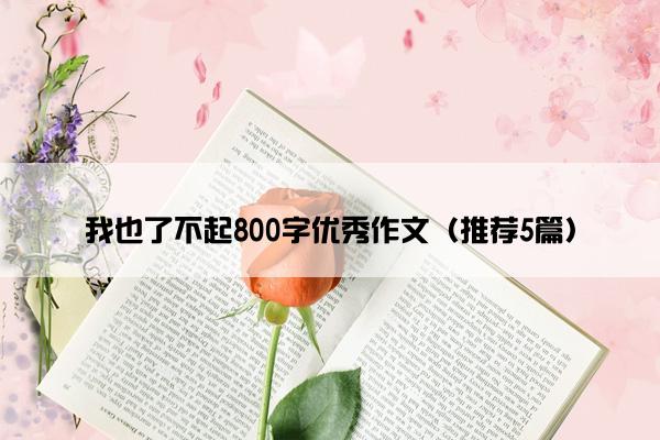 我也了不起800字优秀作文（推荐5篇）