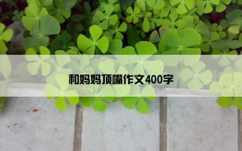 和妈妈顶嘴作文400字