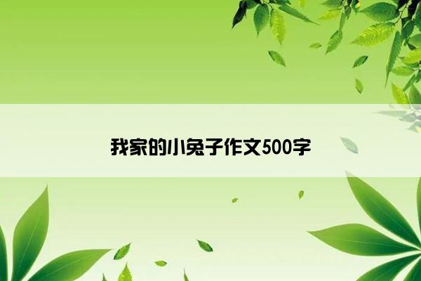 我家的小兔子作文500字