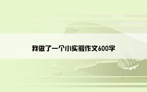 我做了一个小实验作文600字
