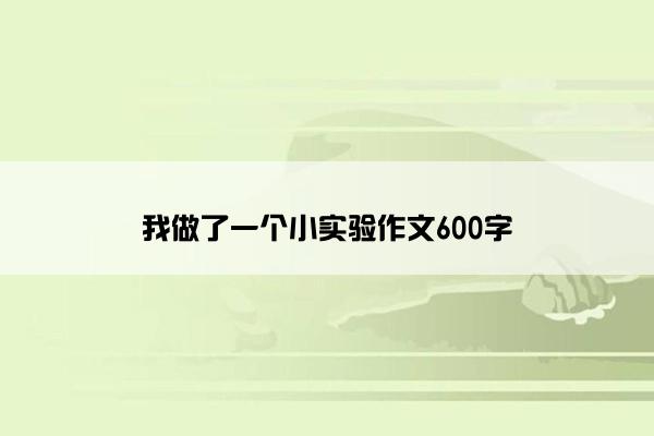 我做了一个小实验作文600字