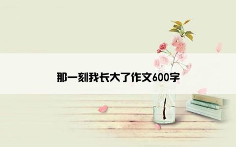 那一刻我长大了作文600字