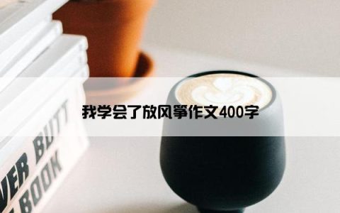 我学会了放风筝作文400字