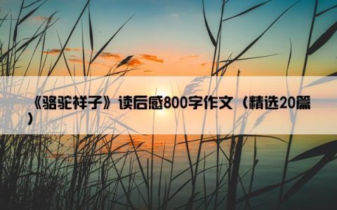 《骆驼祥子》读后感800字作文（精选20篇）