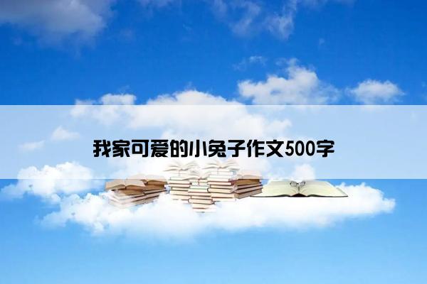 我家可爱的小兔子作文500字