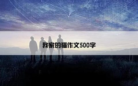 我家的猫作文500字