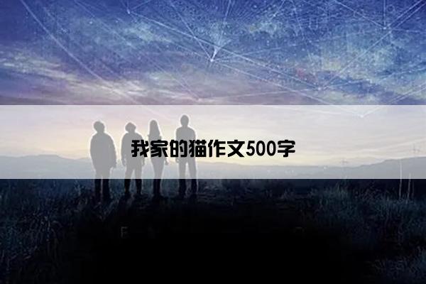 我家的猫作文500字