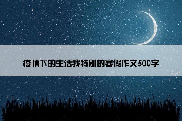 疫情下的生活我特别的寒假作文500字