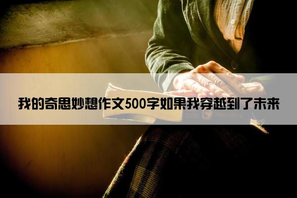 我的奇思妙想作文500字如果我穿越到了未来