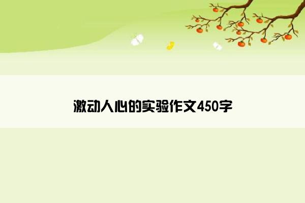 激动人心的实验作文450字