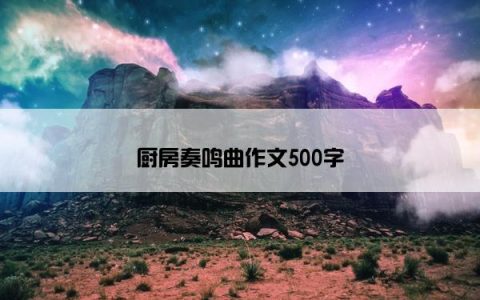 厨房奏鸣曲作文500字
