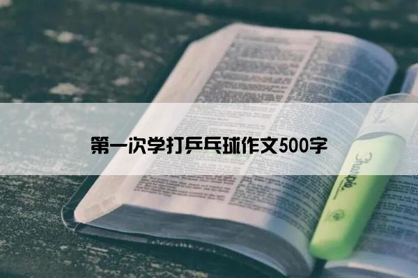 第一次学打乒乓球作文500字