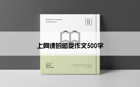 上网课的感受作文500字