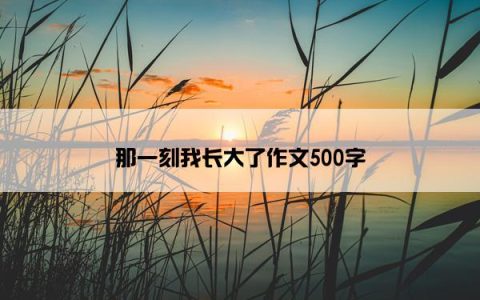 那一刻我长大了作文500字