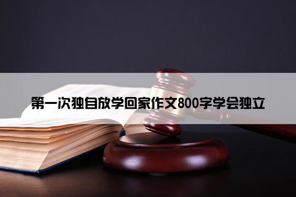 第一次独自放学回家作文800字学会独立