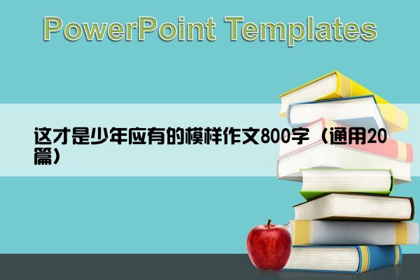 这才是少年应有的模样作文800字（通用20篇）