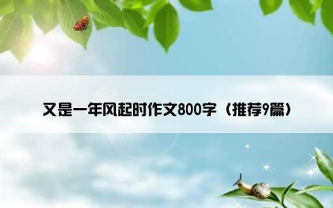 又是一年风起时作文800字（推荐9篇）