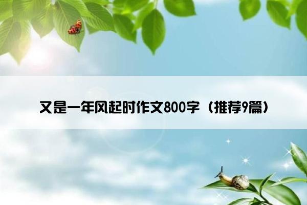 又是一年风起时作文800字（推荐9篇）