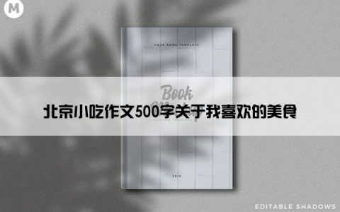 北京小吃作文500字关于我喜欢的美食
