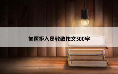 向医护人员致敬作文500字