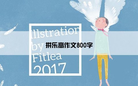 拼乐高作文800字