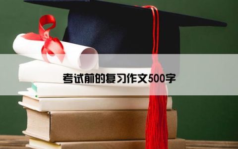 考试前的复习作文500字