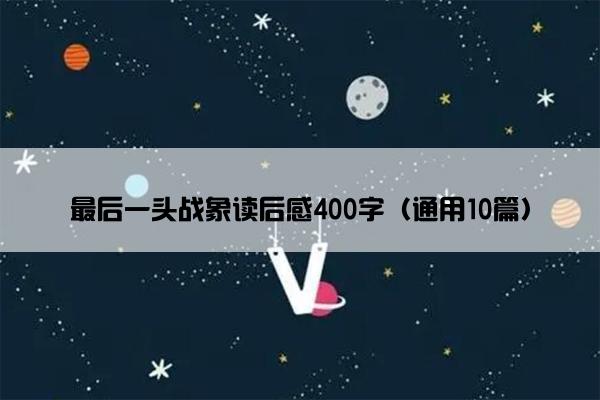 最后一头战象读后感400字（通用10篇）