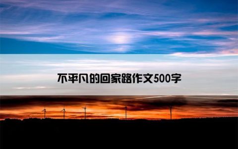 不平凡的回家路作文500字