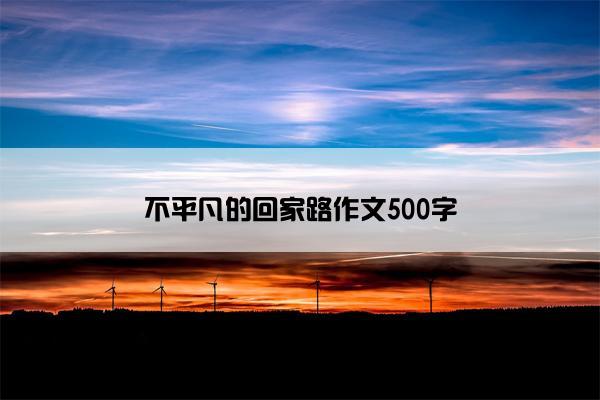 不平凡的回家路作文500字