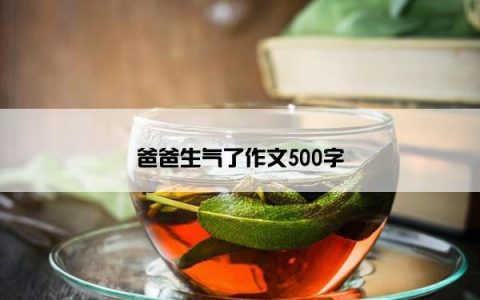爸爸生气了作文500字