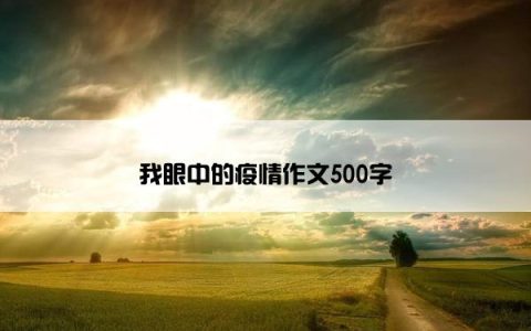 我眼中的疫情作文500字