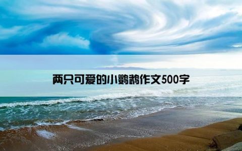 两只可爱的小鹦鹉作文500字