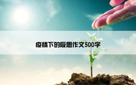 疫情下的反思作文500字