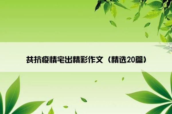 共抗疫情宅出精彩作文（精选20篇）