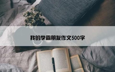 我的学霸朋友作文500字